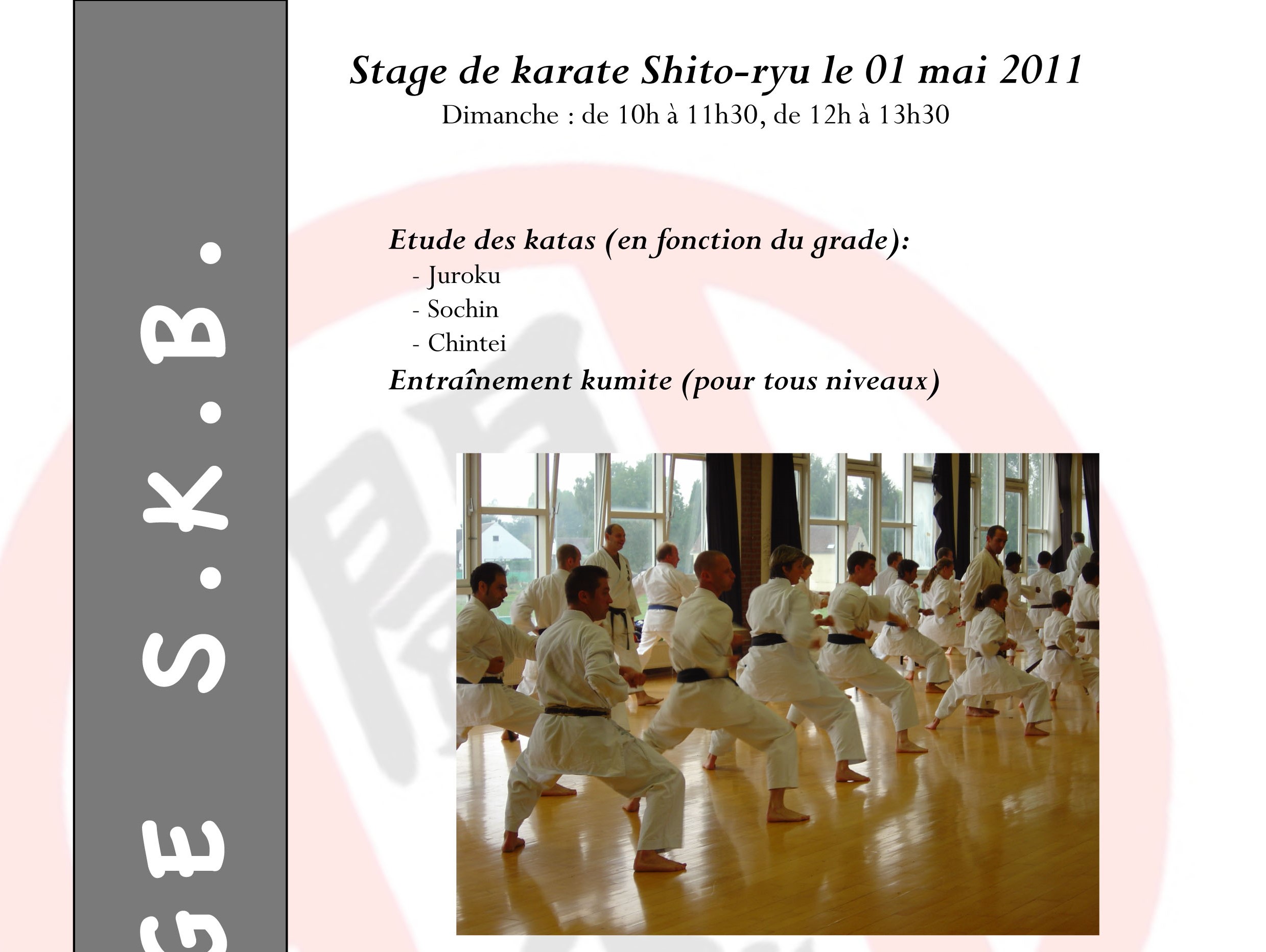 affiche stage SKB 20110501 FR